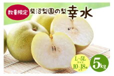 【先行予約/8月上旬から発送】 柴沼梨園の梨 （ 幸水 ） 梨 5kg 10～18個入り L～5Lサイズ ナシ なし 国産 茨城 秋 旬 フルーツ 果物 数量限定 先行予約 旬の果物 くだもの サイズ 品種 幸水梨 産地 茨城県 くだもの ジューシー 果肉 酸味 ギフト 贈答用 家庭用