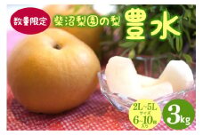 梨 豊水 3kg（6～10個入）　【数量限定 先行予約/8月下旬から発送】　なし ナシ 2L～5L サイズ フルーツ くだもの 国産 産地 笠間市 茨城 ギフト 贈答 秋 旬 味覚 柴沼梨園 梨園 直送 いばらき