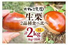 笠間の栗・かねこ農園の生栗 食べ比べ1kg×2品種（3L） 栗 クリ くり 生栗 茨城県 笠間市