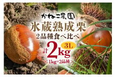 笠間の栗・かねこ農園の氷蔵熟成栗 食べ比べ1kg×2品種（3L） 栗 クリ くり 生栗 茨城県 笠間市