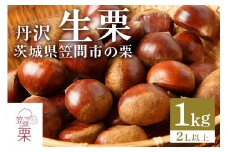 甘露煮におすすめ！笠間の栗・箱田農園の生栗「丹沢」1kg（2L以上）