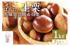甘露煮におすすめ！笠間の栗・箱田農園の生栗「ぽろたん」1kg（2L以上）