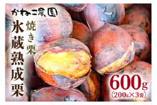 笠間の栗・かねこ農園の焼き栗 200g×3袋 栗 クリ くり 焼栗 茨城県 笠間市