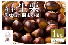 笠間の栗・箱田農園の生栗「利平」1kg（2L以上）