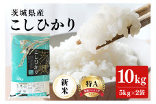 令和6年産 コシヒカリ 10kg ( 5kg ×2 ）米 お米 こしひかり 白米 こめ ブランド米 国産 国産米 取り寄せ ごはん ご飯 コメ お取り寄せ お弁当 弁当 おにぎり ふっくら 農家直送 産地直送 特産  ギフト 贈り物 茨城県 笠間市