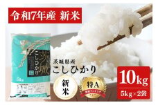 令和7年産 新米 コシヒカリ 米 10kg ( 5kg ×2 ） 白米 こめ こしひかり 国産 国産米 取り寄せ ごはん ご飯 コメ お取り寄せ お弁当 弁当 おにぎり 産地直送 特産  ギフト プレゼント 贈り物 茨城県 笠間市 いばらき