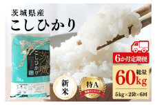 【6ヶ月定期便】【6ヶ月定期便】令和6年産 コシヒカリ 茨城県 笠間市産 10kg (5kg×2袋) 計60kg 米 お米 こしひかり 白米 こめ ブランド米 国産 国産米 取り寄せ ごはん ご飯 コメ お取り寄せ お弁当 弁当 おにぎり ふっくら 農家直送 産地直送 特産 ギフト 贈り物 茨城県 笠間市