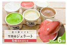 笠間市 ジェラート 6種詰め合わせ 6個セット 道の駅かさま