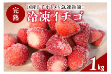 完熟 冷凍イチゴ 1kg