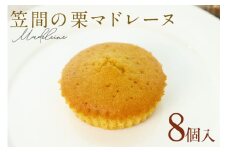 笠間の栗マドレーヌ 8個入り