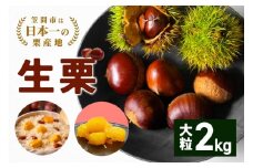 【2025年 秋 出荷】生栗 1kg×2袋 2kg 特大 サイズ 3L 以上 大粒 大きい 数量限定 くり クリ 笠間の栗 栗ごはん カサマロン 国産  先行予約 モンブラン 栗きんとん 冷蔵 笠間市