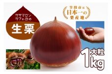 【2025年 秋 出荷】生栗 1kg×1袋 1kg 特大 サイズ 3L 以上 大粒 大きい 数量限定 くり クリ 笠間の栗 栗ごはん カサマロン 国産  先行予約 モンブラン 栗きんとん 冷蔵 笠間市