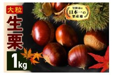 【2025年 秋 出荷】生栗 1kg×1袋 1kg 特大 サイズ 3L 以上 大粒 大きい 数量限定 くり クリ 笠間の栗 栗ごはん カサマロン 国産  先行予約 モンブラン 栗きんとん 冷蔵 笠間市