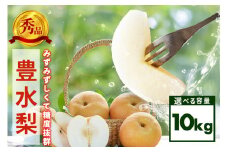 【先行販売/9月上旬から発送】 豊水 梨 秀 10kg 16～28個入 (アカツファーム)  ナシ なし 豊水梨 ギフト 贈答用 秀品 産地 茨城  笠間  完熟 甘い 秋 旬 果物 フルーツ 果汁 新鮮 デザート くだもの ジューシー 秋の味覚 旬の果物 産地直送 茨城県 笠間市