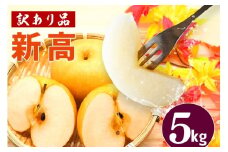 訳あり 柴沼梨園の梨（ 新高 ） 梨 5kg 大玉 6～14個入り 訳アリ 不揃い ナシ なし 国産 茨城 新高梨 秋 旬 フルーツ 果物 先行予約 【9月下旬～10月上旬発送】 秋の味覚 旬の果物 くだもの 大きい サイズ 品種 産地 茨城県産 家庭用 産地直送 茨城県 笠間市