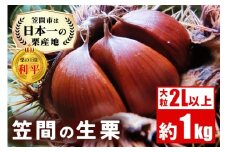 生栗 1kg 利平 栗 くり 国産  2L サイズ 以上 大きい 大粒 取り寄せ 笠間 茨城 和栗 甘栗 低温熟成 ギフト プレゼント 秋 旬 おやつ スイーツ 果物 フルーツ  栗ご飯 栗きんとん 栗おこわ 冷蔵 栗生産量 日本一 いばらき 
