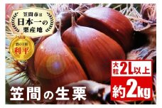 生栗 2kg 利平 栗 くり 国産  2L サイズ 以上 大きい 大粒 取り寄せ 笠間 茨城 和栗 甘栗 低温熟成 ギフト プレゼント 秋 旬 おやつ スイーツ 果物 フルーツ  栗ご飯 栗きんとん 栗おこわ 冷蔵 栗生産量 日本一 いばらき 
