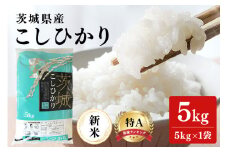 令和7年産 新米 コシヒカリ 米 5kg 白米 こめ こしひかり 国産 国産米 取り寄せ ごはん ご飯 コメ お取り寄せ お弁当 弁当 おにぎり 産地直送 特産  ギフト プレゼント 贈り物 茨城県 笠間市 いばらき