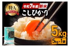 令和7年産 新米 コシヒカリ 米 5kg 白米 こめ こしひかり 国産 国産米 取り寄せ ごはん ご飯 コメ お取り寄せ お弁当 弁当 おにぎり 産地直送 特産  ギフト プレゼント 贈り物 茨城県 笠間市 いばらき