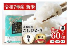 令和7年産 新米 コシヒカリ 米 選べる 5kg 10kg 定期便 30kg (3か月) 60kg (6か月)  白米 こめ こしひかり 国産 国産米 ごはん ご飯 コメ 取り寄せ お弁当 弁当 おにぎり 農家直送 産地直送 特産  ギフト プレゼント 贈り物 茨城県 笠間市 いばらき