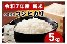 小西農産 令和7年産 コシヒカリ 5kg 米 白米 こめ こしひかり 国産 国産米 ごはん ご飯 コメ 取り寄せ お弁当 弁当 おにぎり 農家直送 産地直送 極上 ギフト プレゼント 贈り物 茨城県 笠間市 いばらき かさま