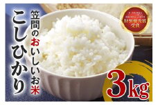 令和7年度米 コシヒカリ 無洗米 3kg（お試し） 新米