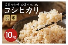 令和7年産 コシヒカリ 10kg 玄米 こしひかり お米 こめ 国産 ごはん ご飯 コメ 取り寄せ お弁当 弁当 おにぎり 茨城県 笠間市 いばらき
