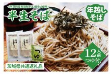 【先行予約】年越しそば＜阿見町産常陸秋そば新そば使用＞半生そば12人前つゆ付【茨城県共通返礼品】（BE001）