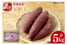 【2025年11月より順次発送】【数量限定】訳アリ 茨城県産安納芋 約5kg｜さつまいも 芋 サツマイモ 安納芋 訳あり わけあり 先行予約 茨城県 取手市（AS004）