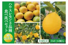 【食べ比べセット】茨城県産　ハウスレモン３品種　12個入り　約1.5kg　レモン　フルーツ　果物　焼酎割　サワー（BD002）