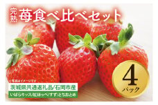 【先行予約】完熟苺 食べ比べセット 4パック【茨城県共通返礼品：石岡市】│ 完熟 いちご イチゴ いばらキッス 紅ほっぺ すず とちおとめ（BH001）