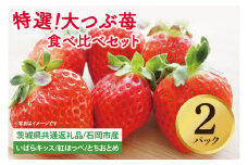 【先行予約】特選大つぶ苺 食べ比べセット 2パック【茨城県共通返礼品：石岡市】│ 特選 完熟 いちご イチゴ いばらキッス 紅ほっぺ すず とちおとめ（BH003）