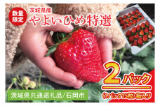 【先行予約】【2026年2月より順次発送】いちご やよいひめ特選2パック【茨城県共通返礼品／石岡市】│ フルーツ 果物 数量限定 茨城県（BK001）