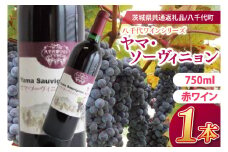 【先行予約】八千代夢ワインシリーズ　ヤマ・ソーヴィニョン（赤ワイン）１本【茨城県共通返礼品／八千代町】│ ワイン 赤紫 カベルネ・ソーヴィニヨン 山ブドウ 国産 茨城県 取手市（BM002）