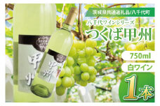 八千代夢ワインシリーズ　つくば甲州（白ワイン）１本【茨城県共通返礼品／八千代町】│ ワイン 白ワイン 甲州 ブドウ 和食 国産 茨城県 取手市（BM004）