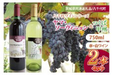 【先行予約】八千代夢ワインシリーズ　ヤマ・ソーヴィニョン（赤）・つくば甲州（白）２本セット【茨城県共通返礼品／八千代町】│ ワイン 赤ワイン 白ワイン カベルネソーヴィニョン ヤマブドウ 甲州 和食 飲み比べ 国産 茨城県 取手市（BM007）
