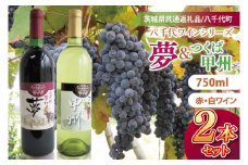 【先行予約】八千代夢ワインシリーズ　夢（赤）・つくば甲州（白）２本セット【茨城県共通返礼品／八千代町】│ ワイン 赤ワイン 白ワイン ブドウ 甲州 和食 飲み比べ 国産 茨城県 取手市（BM008）