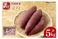 【2025年11月より順次発送】【数量限定】訳アリ 茨城県産金時 約5kg｜さつまいも 芋 サツマイモ 金時 訳あり わけあり 先行予約 茨城県 取手市（AS010）