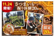 【20組限定！】11/24開催！　さつまいも掘り体験と取手市内レストランで味わう取手市産バナナポークのランチ（AS011）