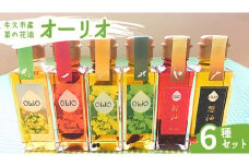 牛久市産 菜の花 油 『 オーリオ 』 6種 セット 詰合せ ふるさと納税限定 食用油 オリーブオイル 調味料 料理 パスタ バケット ロッソ ニンニク にんにく ハーブ バジル 辣油 葱油 常温
