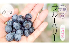 《 先行予約 》完熟 新鮮ブルーベリー 約1kg 【2025年6月上旬頃より発送開始】＜ 産地直送 ＞ ベリー 1kg  1キロ 甘い 甘酸っぱい 冷凍 大粒 おいしい 美味しい フルーツ 果物 くだもの おやつ 無農薬 農薬不使用 お取り寄せ お土産 贈り物 贈答 ギフト 国産 茨城 農園 