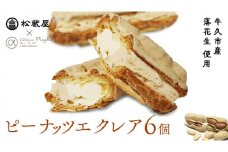 ピーナッツ エクレア 6個 甘い おいしい 美味しい ピーナツ スイーツ おうちカフェ お菓子 おやつ お取り寄せ 国産 茨城 特産品