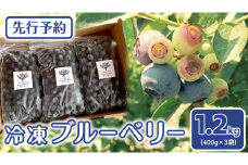 《 先行予約 》 冷凍 ブルーベリー 400g×3袋 【2025年7月上旬頃より発送開始】冷凍 大粒 フルーツ 果物 くだもの おやつ 無農薬 農薬不使用 お取り寄せ 贈り物 ジャム スムージー