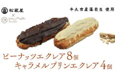 【牛久市産 落花生 使用】ピーナッツ エクレア 8個・キャラメルプリン エクレア4個セット 甘い おいしい 美味しい ピーナツ スイーツ おうちカフェ お菓子 おやつ お取り寄せ 国産 茨城 特産品