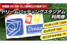 バッティング 15回券・ ピッチング 1回券 野球 バッティングセンター 体験 練習 チケット 運動 施設利用券 茨城県 牛久市