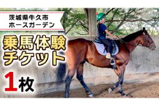 乗馬体験１回コース 乗馬 レッスン 見学 初心者 日帰り 体験 馬 チケット