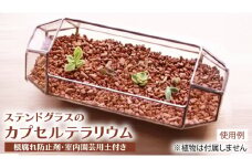 ステンドグラスのカプセルテラリウム 置き型 観葉植物 容器 お土産 贈り物 お祝い 誕生日 プレゼント ギフト