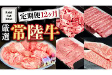 ＜ 定期便 ＞ 厳選 『 常陸牛 』 12ヶ月セット ( 茨城県共通返礼品 ) A5 A4 肉 焼肉 国産 霜降 サーロイン ヒレ もも ハンバーグ ステーキ すき焼き しゃぶしゃぶ