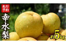 ≪先行予約≫ 茨城県産 梨 幸水 （約 5kg） 【 2025年 8月下旬頃より発送開始 】 梨 なし 果物 フルーツ 新鮮 旬 期間限定 甘い 国産