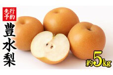 《 先行予約 》 茨城県産 梨 豊水 （約 5kg）【 2025年 9月上旬頃より発送開始 】 梨 なし 果物 フルーツ 新鮮 旬 期間限定 甘い 国産